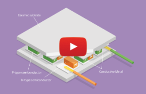 Fall 2025 | Volume 5, Issue 3